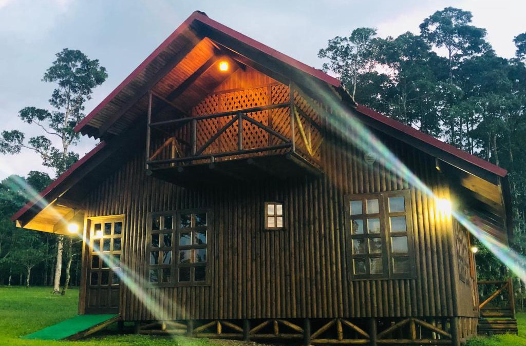 Penjamo Cabin | Cabaña rodeada de naturaleza en San Carlos