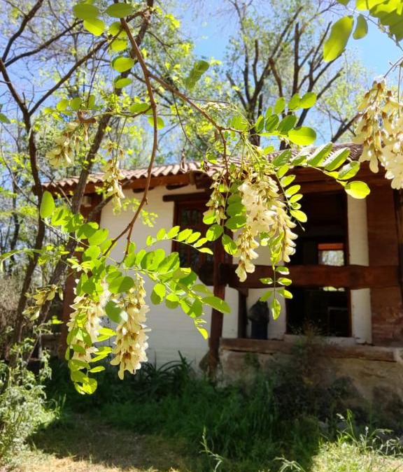 Santa Rosa de Calamuchita Ski Chalet | Cabañas Franca Austral