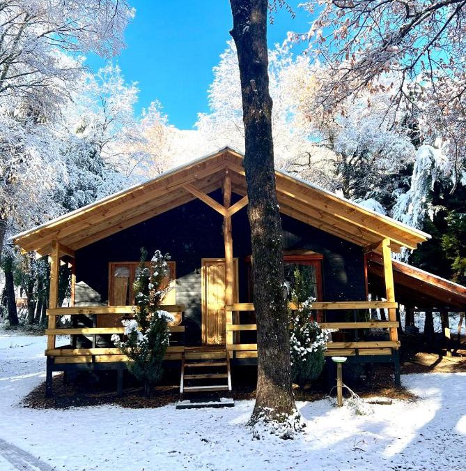 Pinto Ski Chalet | Cabañas Bosque las Trancas