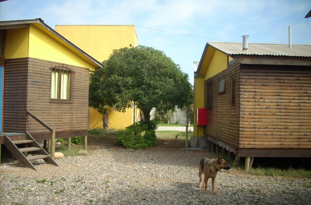 La Serena Cabin | Cabañas Caleta San Pedro