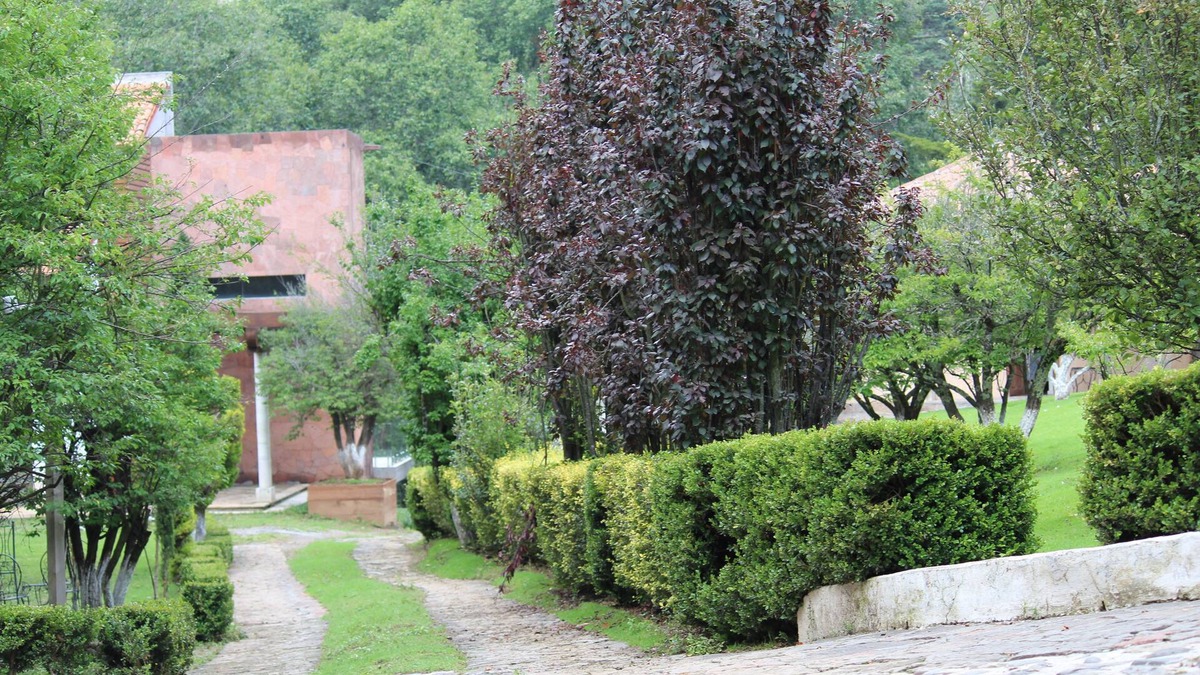 El Oro Cabin | Cabañas Esperanza