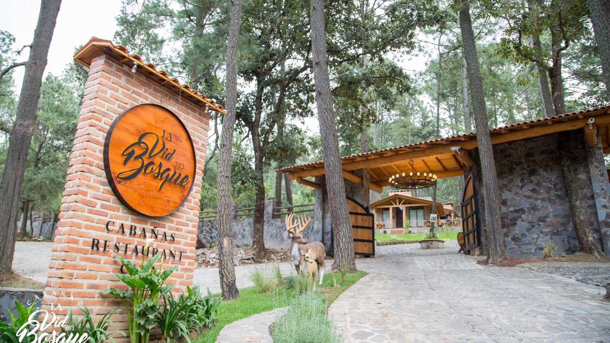 Tapalpa Cabin | Cabañas La Vid Del Bosque