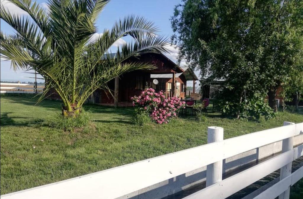 Los Angeles Cabin | CABAÑAS LOS CASTAÑOS