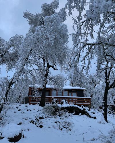 Pinto Ski Chalet | Cabañas Rocalobos trancas