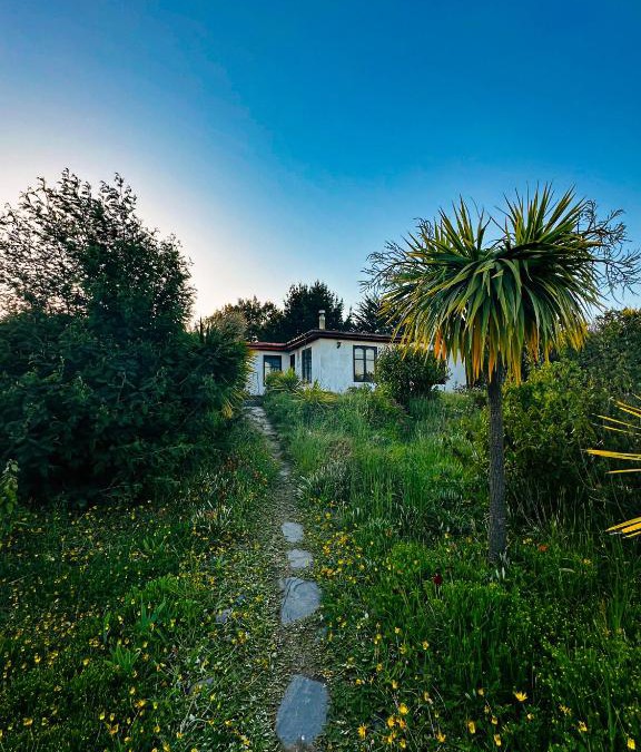 Cobquecura House | Cabañas Santa Rita