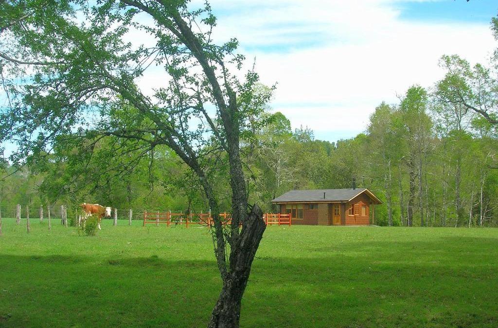 Curacautin House | Cabañas Valle del Río