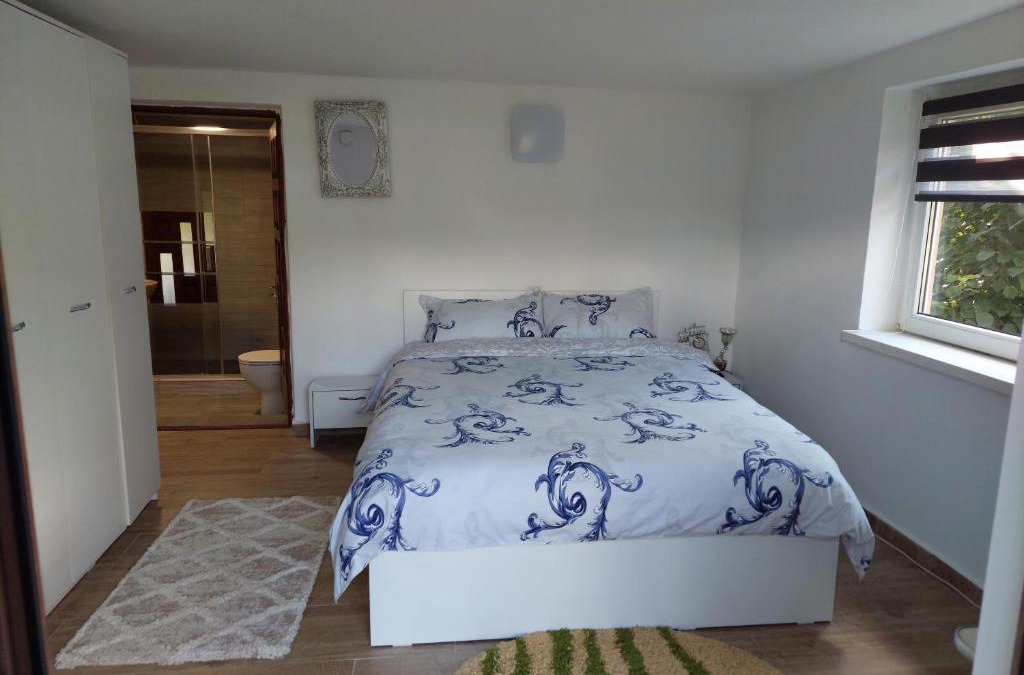 Banita Cabin | Cabană cu teren de tenis - parter