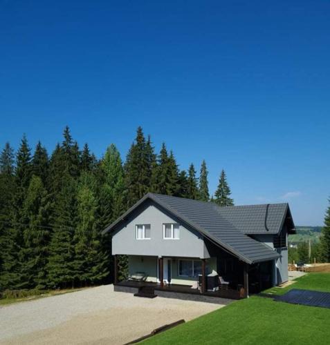 Dorna Candrenilor House | Cabana Brazilor