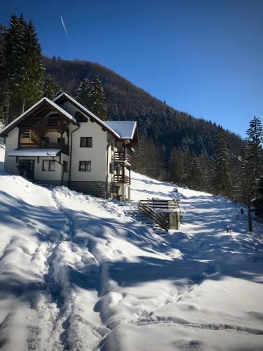 Dambovicioara Villa | Cabana Caprioara - Piatra Craiului