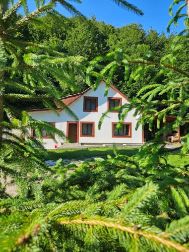 Budureasa House | Cabana Cezar
