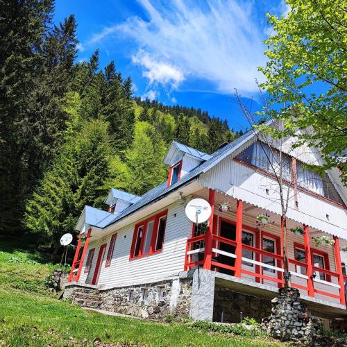Capatanenii Pamanteni Cabin | Cabana Dara