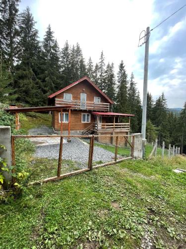 Muntele Baisorii Cabin | Cabana dintre brazi
