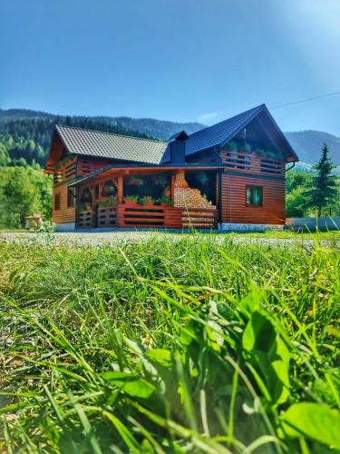Vidra House | Cabana Dintre Munti