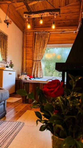 Campo Alegre House | Cabana hidromassagem Morada Alma Gêmea