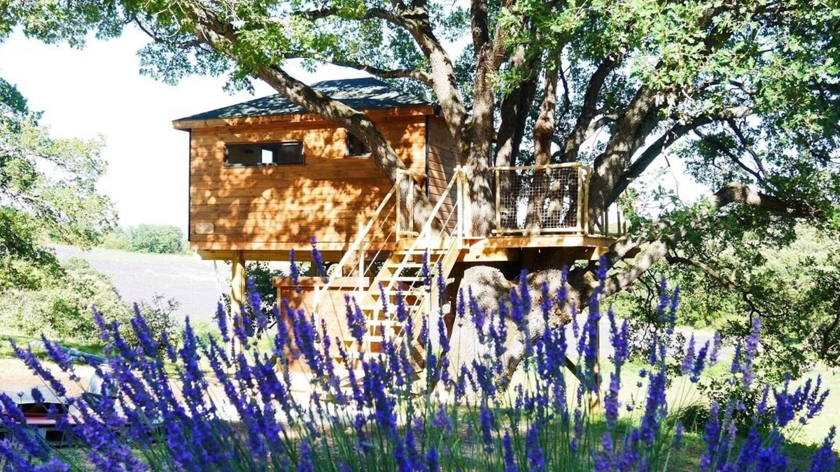 Reauville Cabin | CABANA IN A TREE "7th heaven"