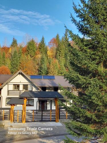 Gura Humorului House | Cabana Ioana