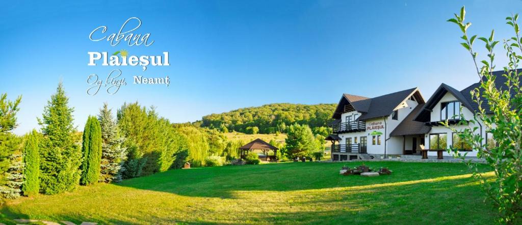 Tirgu Neamt House | Cabana Plăieșul