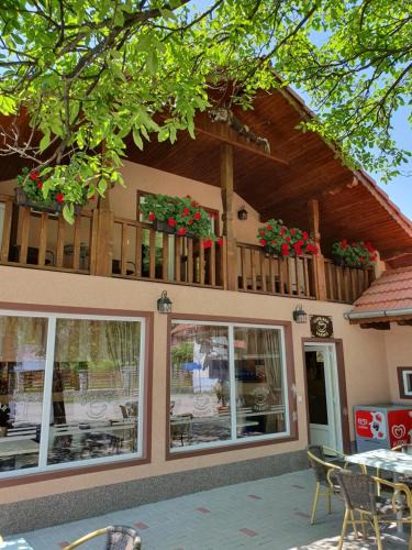 Orastioara de Sus House | Cabana Sarmis Costesti