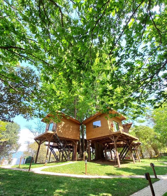 Camanducaia Cabin | Cabanas All Black