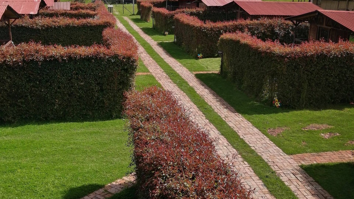 Suesca Cabin | Cabanas en Suesca Cundinamarca