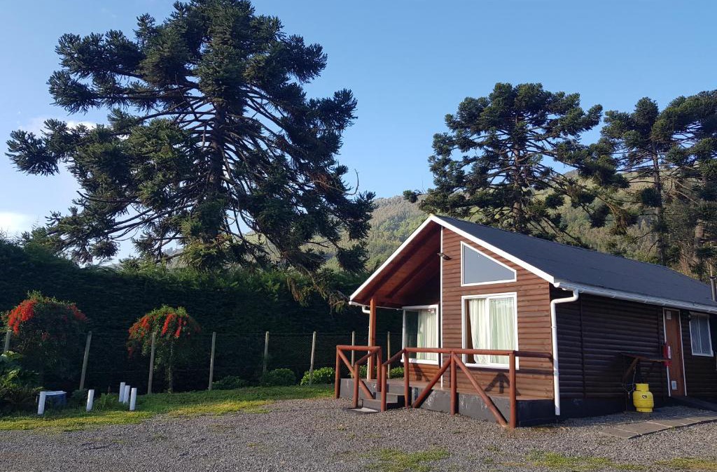 Contulmo Cabin | Cabañas Los Cipreses