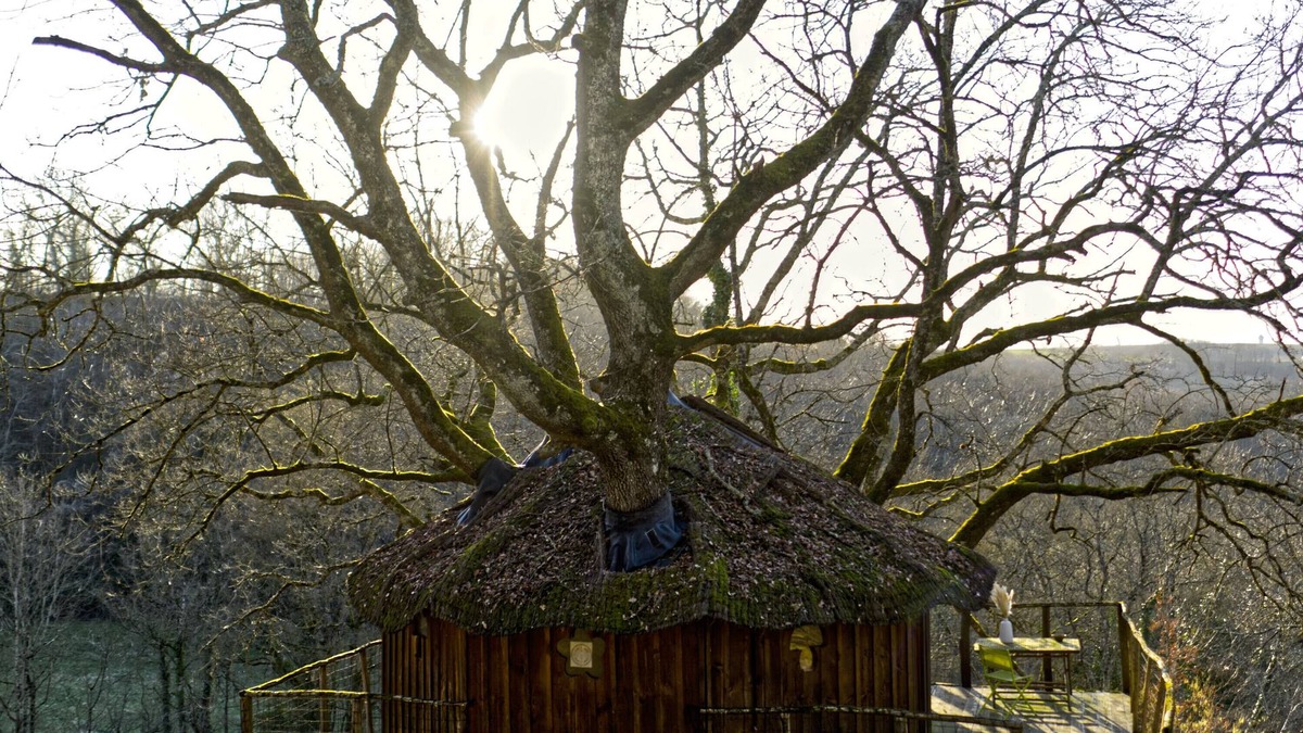 Pons Cabin | - Cabane AMOUR- Perched cabin for 4 travellers