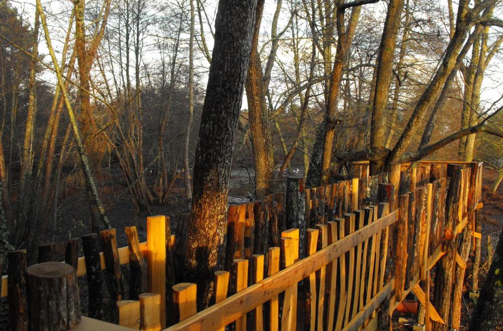 Allons Other | Cabane des cerfs