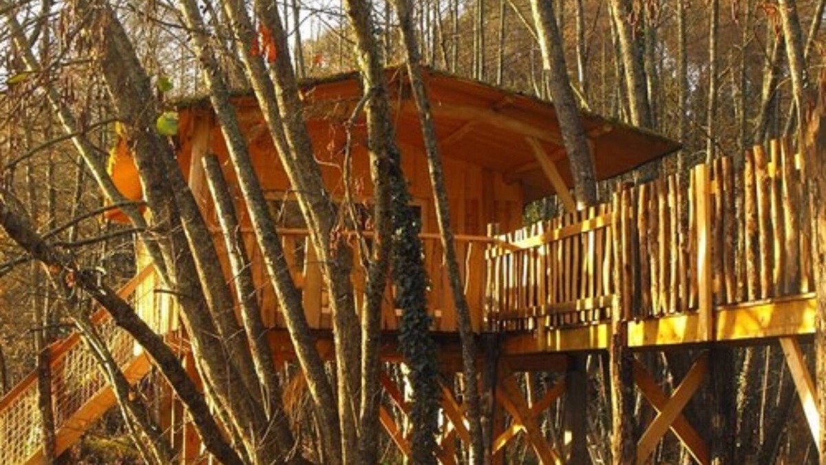 Allons Bed & Breakfast | Cabane des cerfs