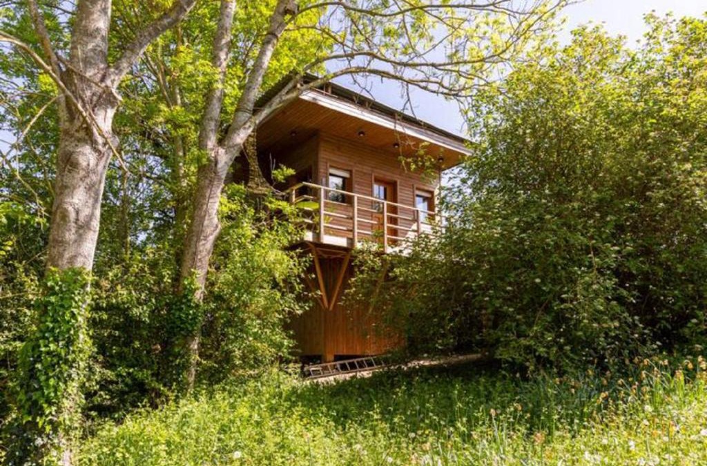 Vert House | Cabane perchee