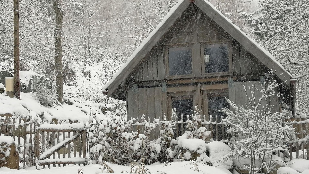 Sapois Ski Chalet | Cabanon Sud Vosges Gérardmer Panorama Calme Nature