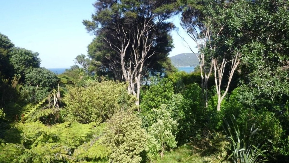 Tryphena House | Cabbage Tree Cottage: Cosy home with bush and beach beyond