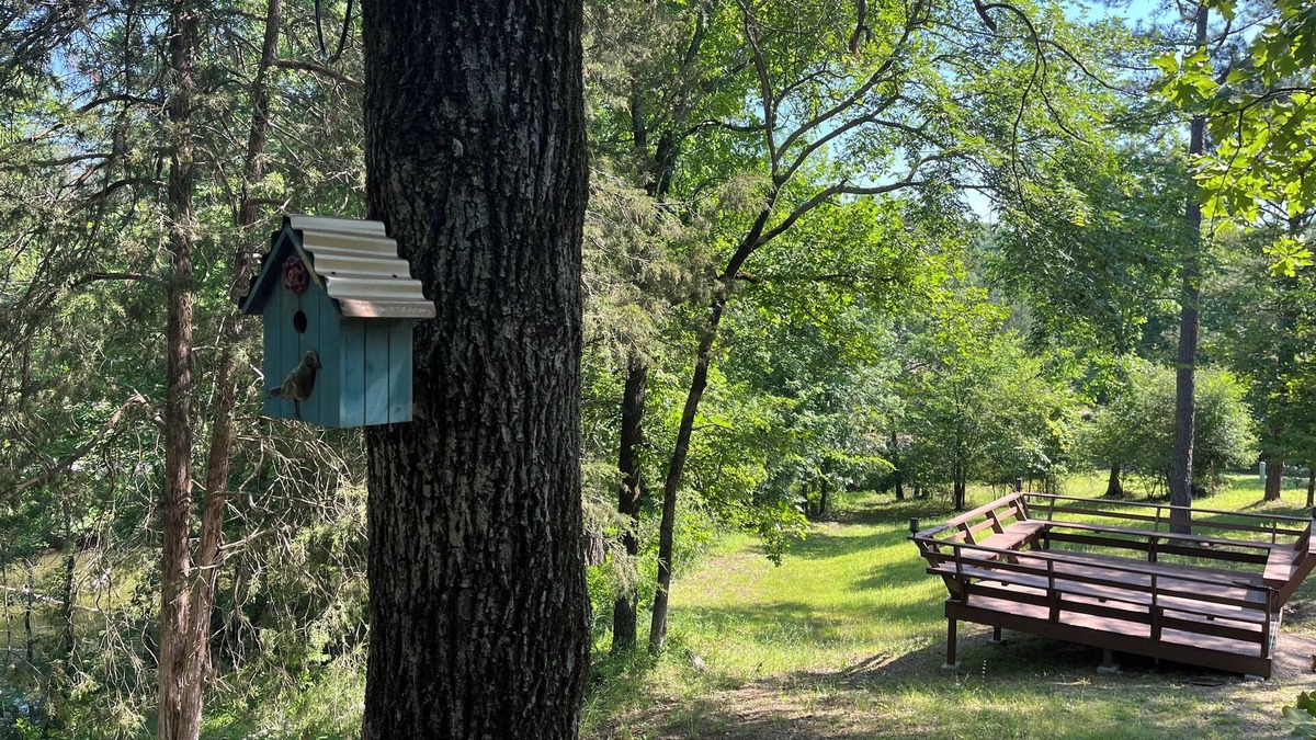 Royal Cabin | Cabin #15 Lake Beach Front