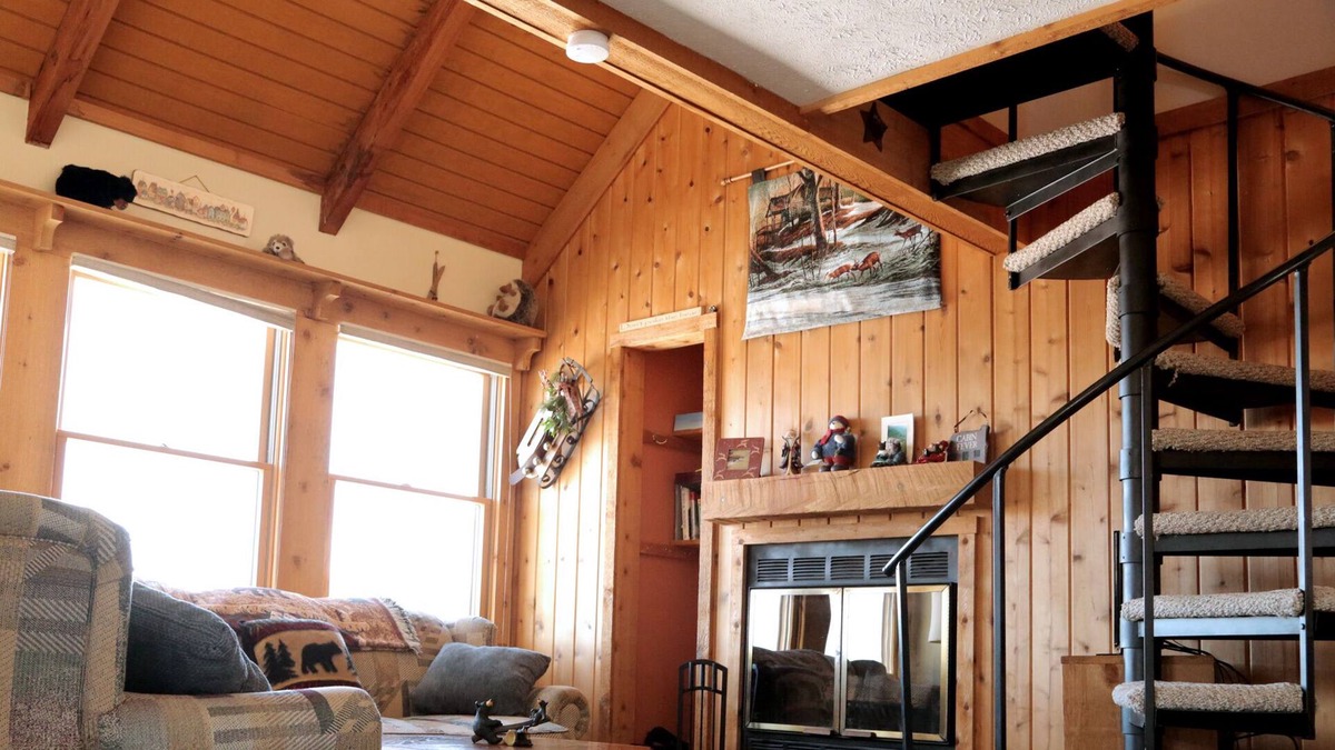 Davis Cabin | Cabin 19, 3 Hours From DC! Mid-week specials! Great hiking, skiing, MTB.