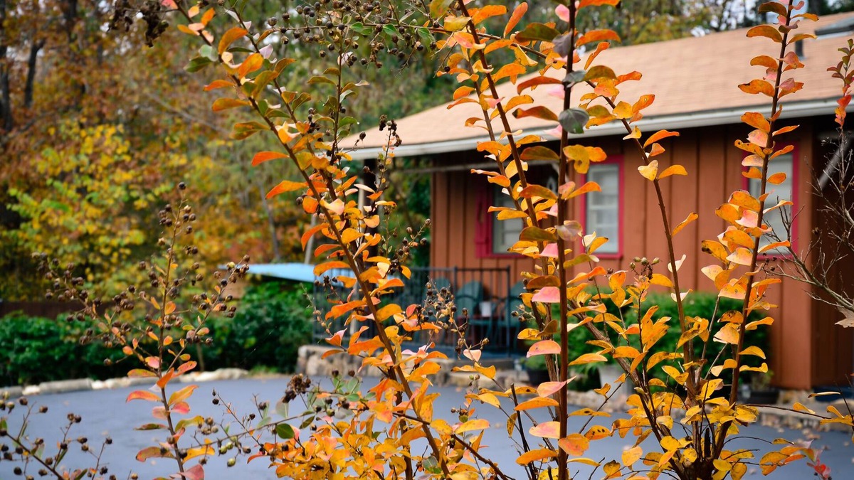 Mountain Home Cabin | Cabin 2-bdrms with Pool and Boat Dock Access on Norfork Lake, Arkansas