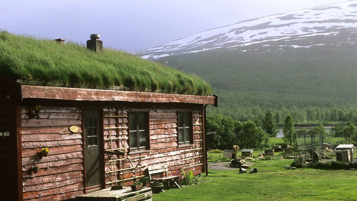 Bardu kommune House | Cabin at Huskyfarm Innset