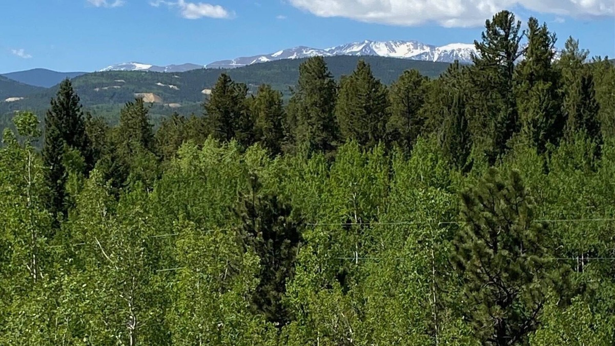 Black Hawk Cabin | Cabin at Pickle Gulch- a charming cabin with mountain views.