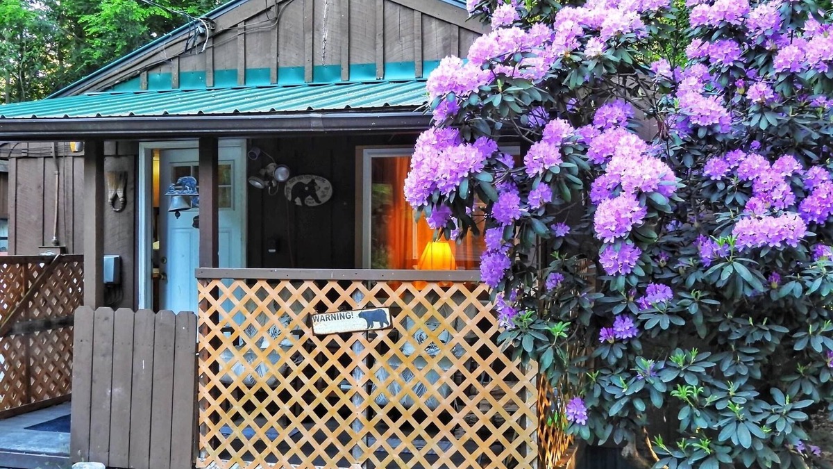 Dushore Cabin | Cabin close to Ricketts Glen and State Parks!
