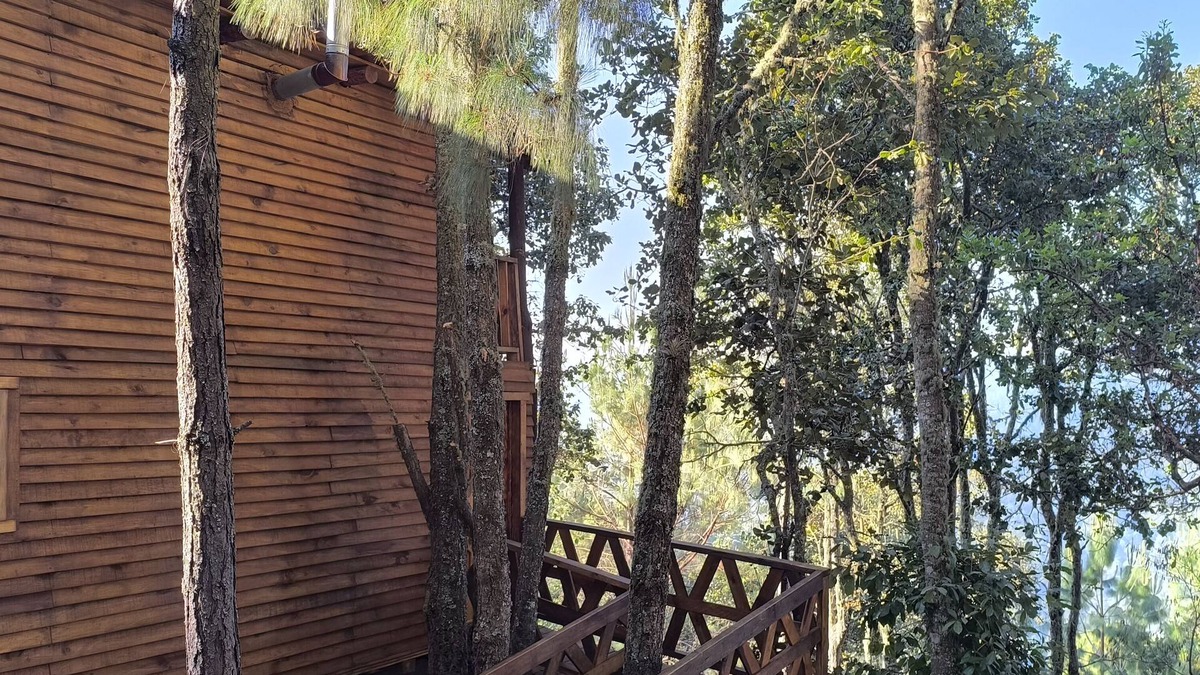 San Jose del Pacifico Cabin | Cabin in San Jose del Pacifico Forest 5