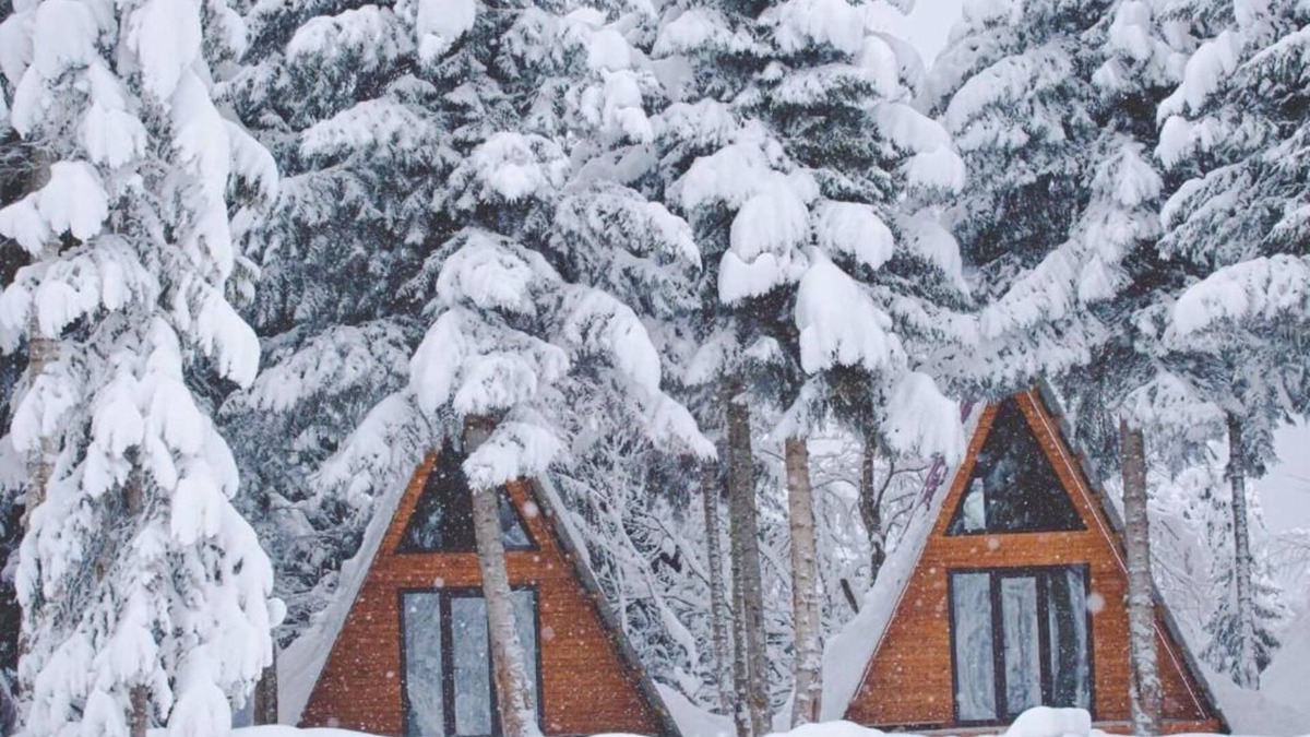 Bagvdanari Cottage | Cabin in the forest, near to ski lift, provide breakfast and dinner