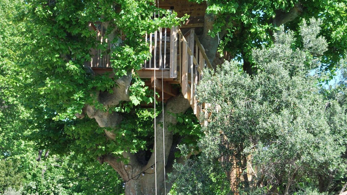 Salon-de-Provence Cabin | Cabin in the plane tree, swimming pool, trampoline
