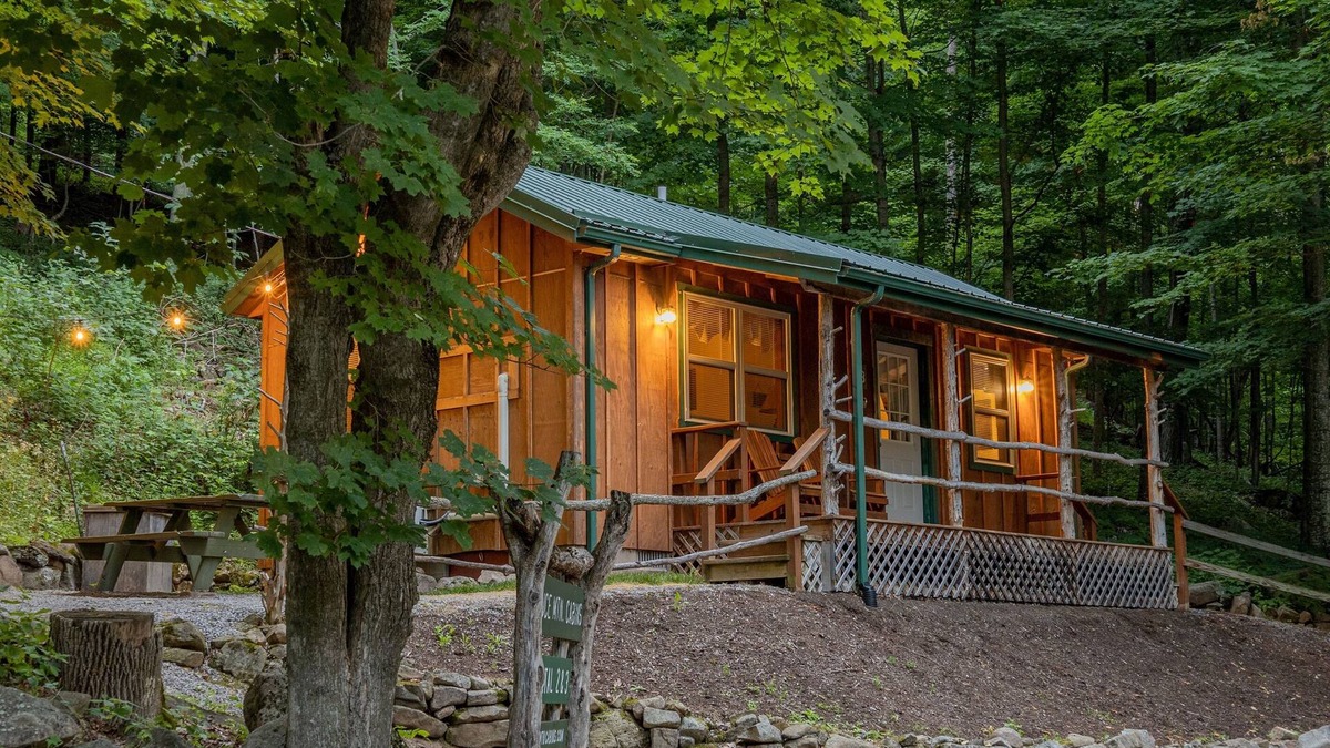 Allegheny Mountains Cabin | Cabin in the woods w/WIFI. >1 mi to Mon. Forest