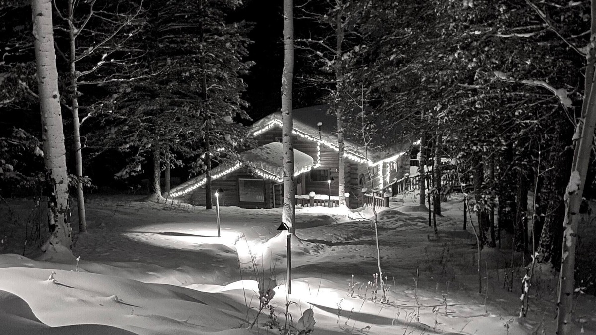 Indian Paintbrush Cabin | Cabin in The Woods - Wilson, WY