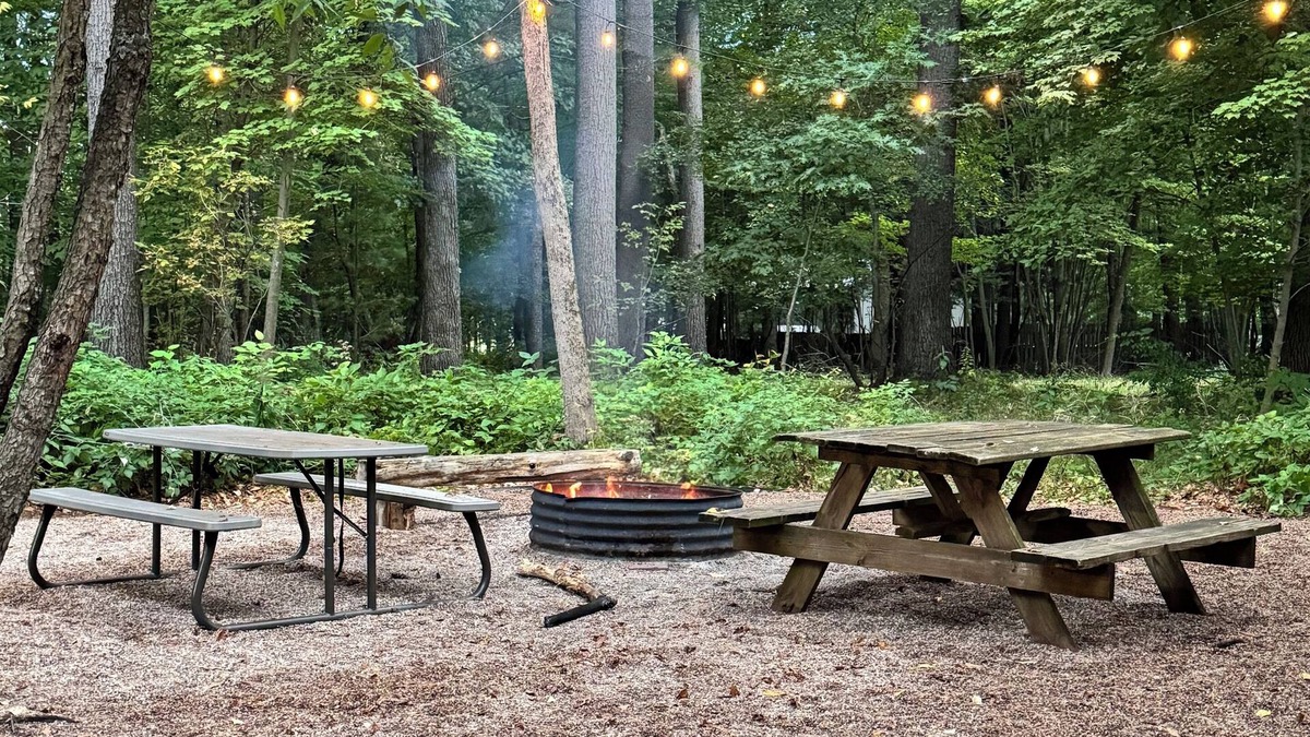 King Cabin | Cabin in the woods with hot tub and lake views. Pets welcome! Close to Nordic.