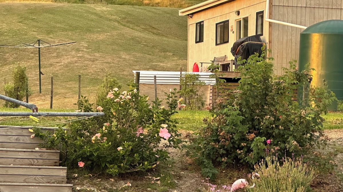 Whakapirau Cabin | Cabin Kaipara bliss/peaceful, . Pet friendly