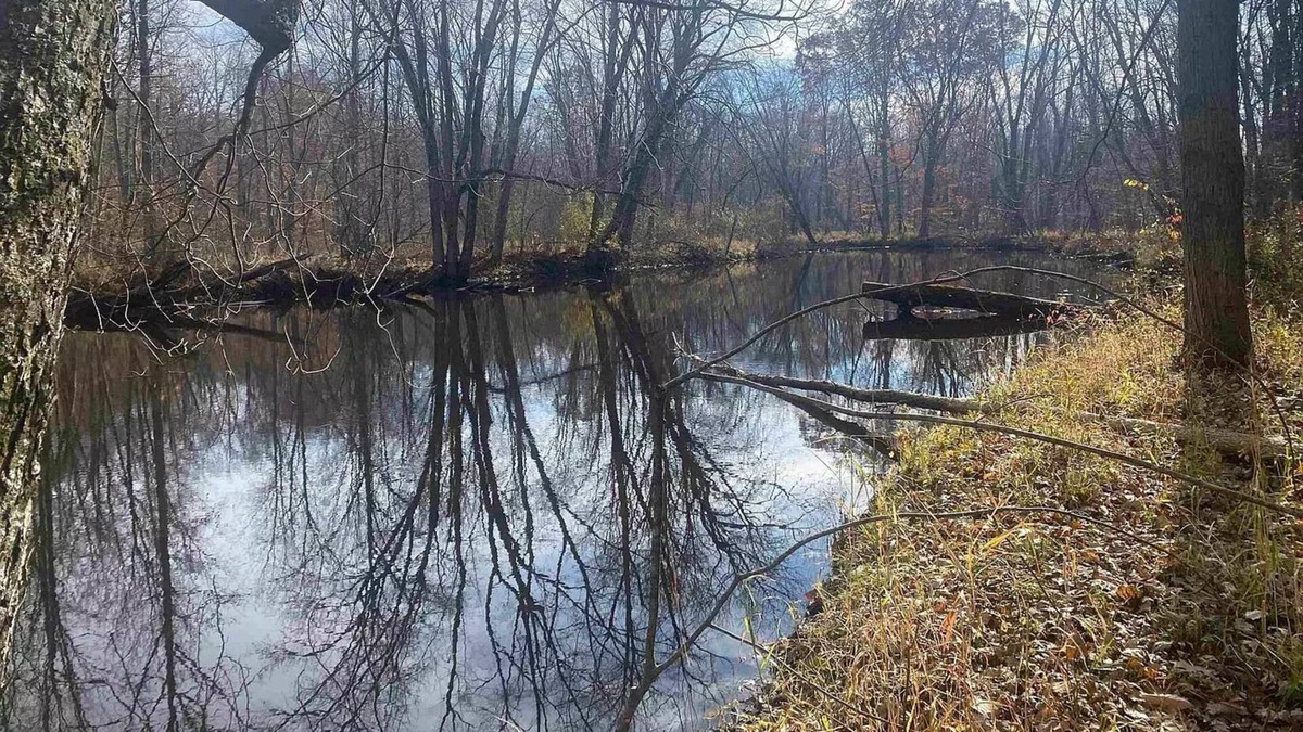 Sumner Cabin | Cabin on Pine River-Sleeps 5
