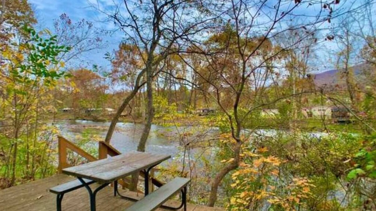 Covington Cabin | Cabin on the Jackson River with dock, deck, firepit and sauna. Pet friendly!