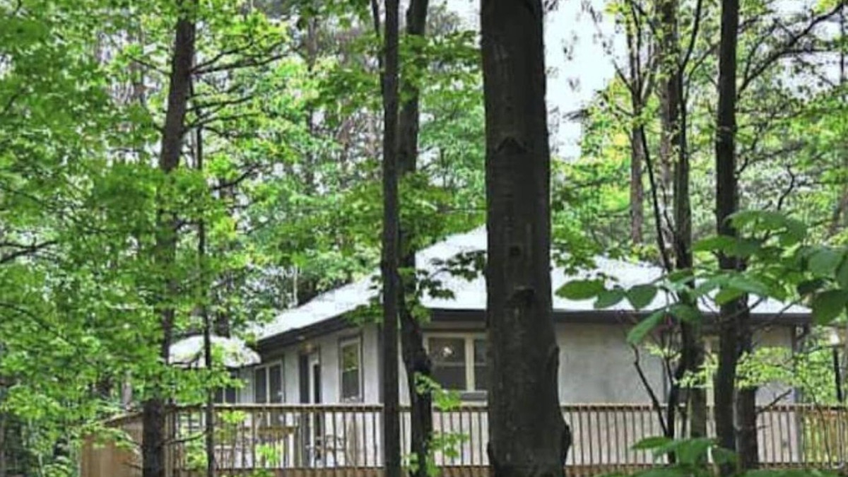 South Bloomingville Cabin | Cabin on wooded ridge, stair-free, 2 bedrm, child & pet friendly,AirBB Superhost