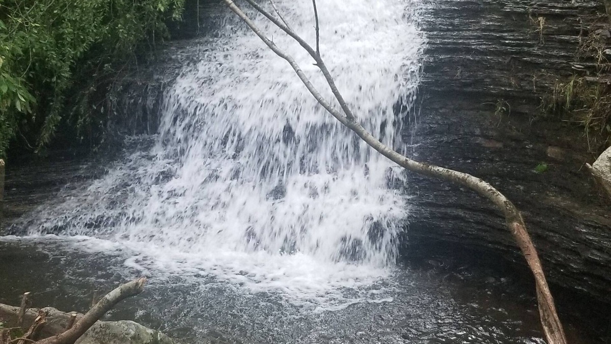 Marshall Cabin | Cabin with 3 private water falls. Close to Buffalo River & Branson