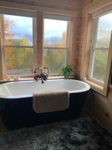 Hot Springs House | Cabin with a view in Hot Springs—walk to AT