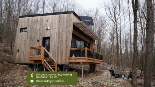 Eastman House | Cabin Zoobox 77